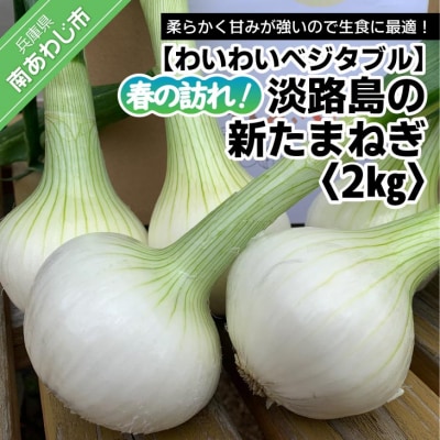春の訪れ!淡路島の新たまねぎ(2kg)　◆配送2月～5月下旬