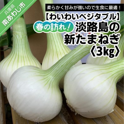 春の訪れ!淡路島の新たまねぎ(3kg)　◆配送2月～5月下旬