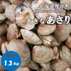 漁師から直で仕入れ!厚岸産の大きなあさり 1.3kg | ふるさと納税のお礼品