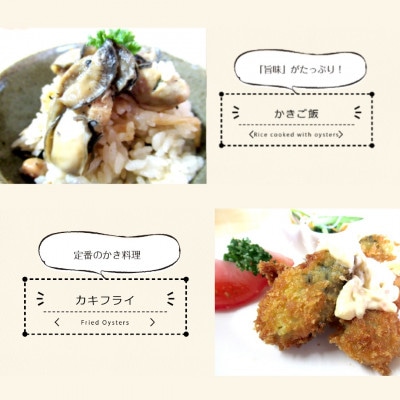 北海道厚岸町のブランド牡蠣「マルえもん」むきかき300g(約12～15粒)