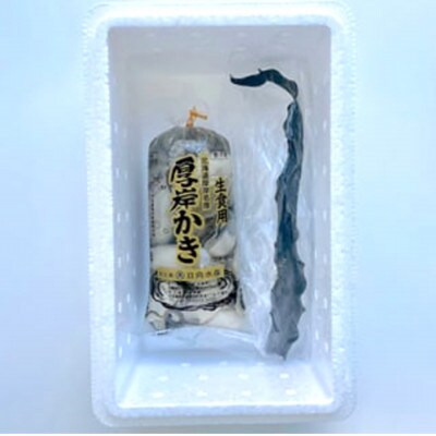 【カキしゃぶセット】北海道厚岸町のブランド牡蠣「マルえもん」むきかき300g × かしら昆布1枚