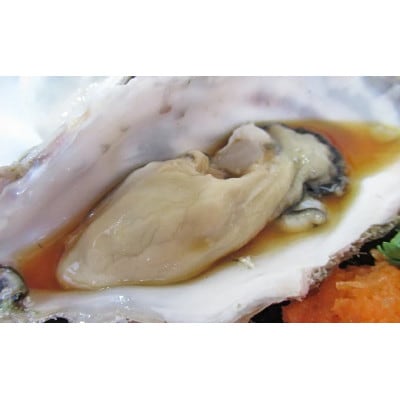 厚岸のブランド牡蠣 マルえもん Mサイズ 10個(生食用)