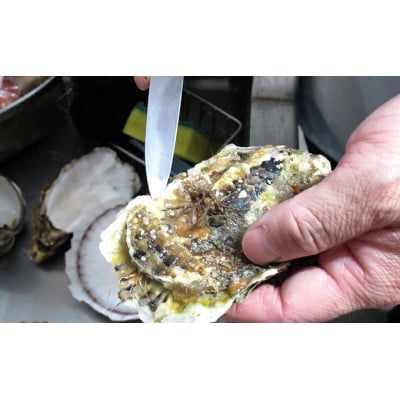 厚岸のブランド牡蠣 マルえもん Mサイズ 10個(生食用)