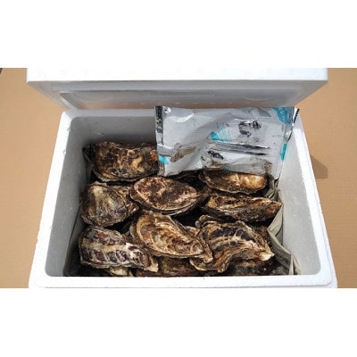 北海道厚岸町の牡蠣「マルえもん」Lサイズ 20個(生食用)・あさり 1kg
