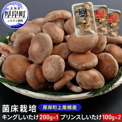 菌床栽培 キングしいたけ200g×1パック・プリンスしいたけ100g×2パック