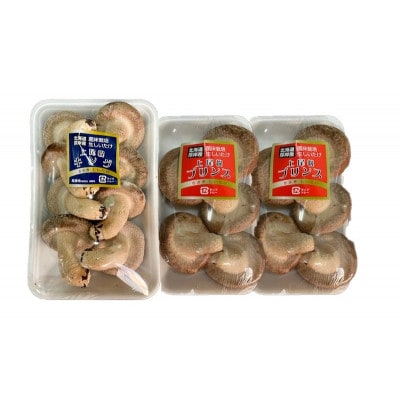 菌床栽培 キングしいたけ200g×1パック・プリンスしいたけ100g×2パック