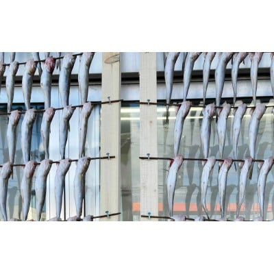 北海道厚岸産 丸干しコマイ 190g×4パック