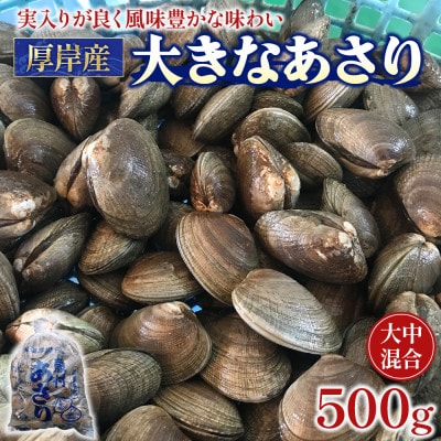 面倒な砂抜き不要!北海道厚岸産あさり 500g×1パック(大中混合)