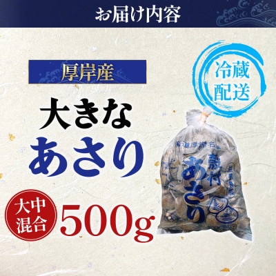 面倒な砂抜き不要!北海道厚岸産あさり 500g×1パック(大中混合)
