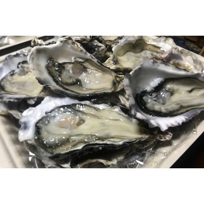 北海道厚岸町のブランド牡蠣「マルえもん」Lサイズ6個(生食用)