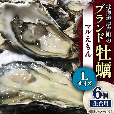 北海道厚岸町のブランド牡蠣「マルえもん」Lサイズ6個(生食用)