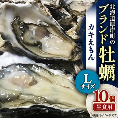 北海道厚岸町のブランド牡蠣「カキえもん」Lサイズ10個(生食用)