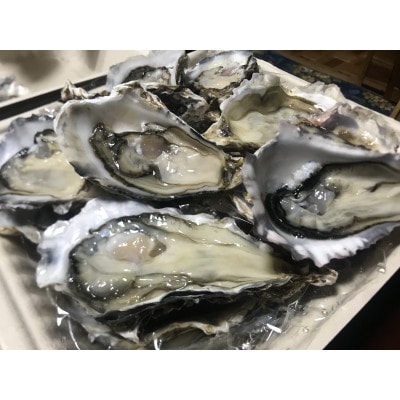 北海道厚岸町のブランド牡蠣「カキえもん」Lサイズ10個(生食用)
