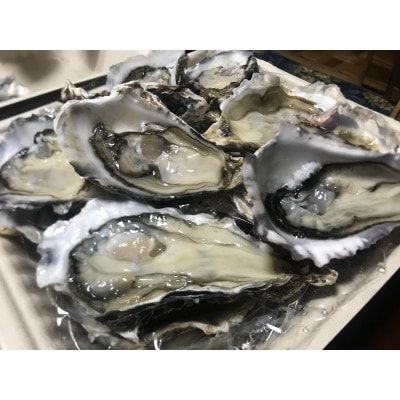 北海道厚岸町のブランド牡蠣「カキえもん」2Lサイズ10個(生食用)