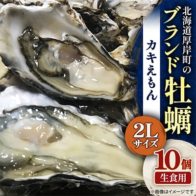 北海道厚岸町のブランド牡蠣「カキえもん」2Lサイズ10個(生食用)