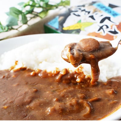 高島食品 カレー5種セット(かき、ズワイガニ、大漁、ほたて、たらばかに 各1個)