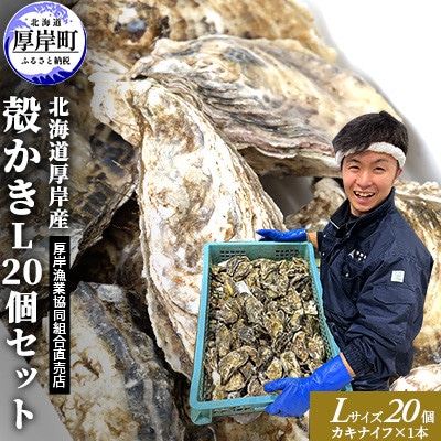 厚岸産 殻かきL20個セット