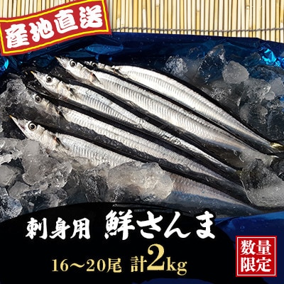 【先行受付・産地直送】旬の味覚!刺身用 鮮さんま(16～20尾)