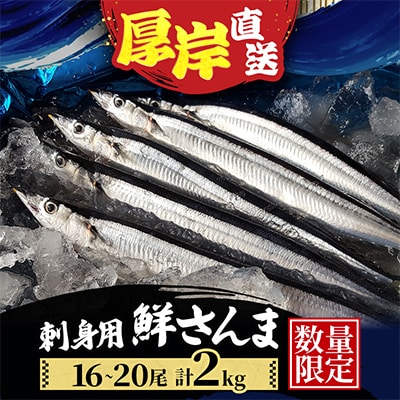 【先行受付・産地直送】旬の味覚!刺身用 鮮さんま(16～20尾)