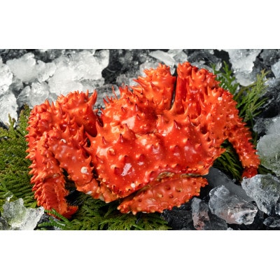 【訳あり】北海道厚岸産 冷凍ボイル花咲がに 約1.5kg(3~5尾)