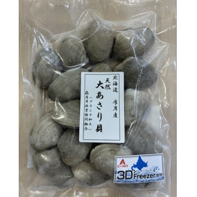 厚岸産【天然】冷凍　大あさり貝500g×2個