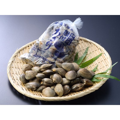 【4月中旬から6月限定発送】天然!殻あさり(大) 1kg(500g×2パック)