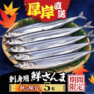 北海道厚岸産 鮮度バツグン!! 鮮さんま 5本 刺身用