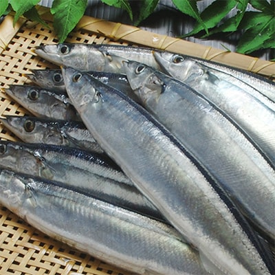 北海道厚岸産 鮮度バツグン!! 鮮さんま 5本 刺身用