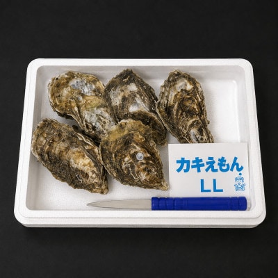 【生食用】「カキえもん」LLサイズ×5個 北海道厚岸町産 殻付牡蠣 (カキナイフ付)