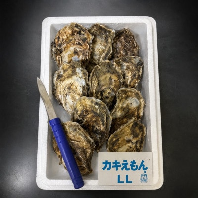 【生食用】「カキえもん」LLサイズ×10個 北海道厚岸町産 殻付牡蠣 (カキナイフ付)