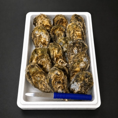 【生食用】「カキえもん」LLサイズ×15個 北海道厚岸町産 殻付牡蠣 (カキナイフ付)