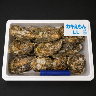【生食用】「カキえもん」LLサイズ×20個 北海道厚岸町産 殻付牡蠣 (カキナイフ付)