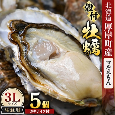 【生食用】「マルえもん」3Lサイズ×5個 北海道厚岸町産 殻付牡蠣 (カキナイフ付)