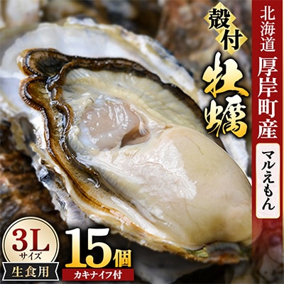 【生食用】「マルえもん」3Lサイズ×15個 北海道厚岸町産 殻付牡蠣 (カキナイフ付)