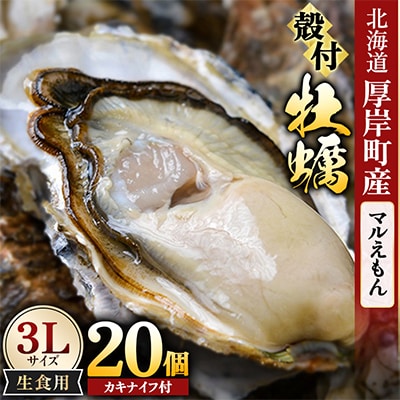 【生食用】「マルえもん」3Lサイズ×20個 北海道厚岸町産 殻付牡蠣 (カキナイフ付)