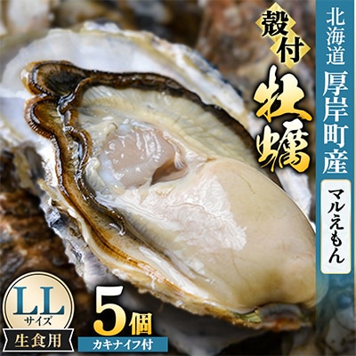 【生食用】「マルえもん」LLサイズ×5個 北海道厚岸町産 殻付牡蠣 (カキナイフ付)