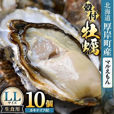 【生食用】「マルえもん」LLサイズ×10個 北海道厚岸町産 殻付牡蠣 (カキナイフ付)