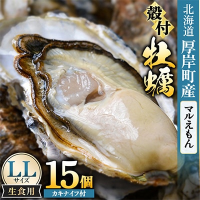 【生食用】「マルえもん」LLサイズ×15個 北海道厚岸町産 殻付牡蠣 (カキナイフ付)