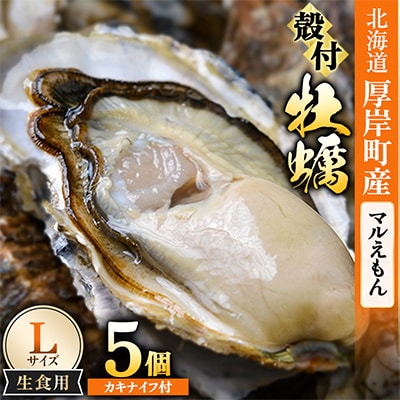 【生食用】「マルえもん」Lサイズ×5個 北海道厚岸町産 殻付牡蠣 (カキナイフ付)