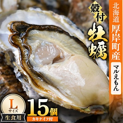 【生食用】「マルえもん」Lサイズ×15個 北海道厚岸町産 殻付牡蠣 (カキナイフ付)