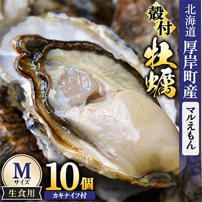 【生食用】「マルえもん」Mサイズ×10個 北海道厚岸町産 殻付牡蠣 (カキナイフ付)