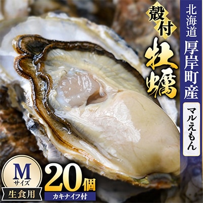【生食用】「マルえもん」Mサイズ×20個 北海道厚岸町産 殻付牡蠣 (カキナイフ付)