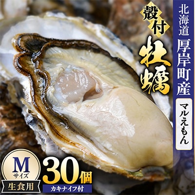 【生食用】「マルえもん」Mサイズ×30個 北海道厚岸町産 殻付牡蠣 (カキナイフ付)