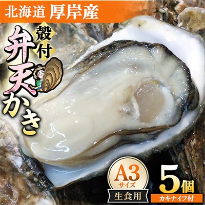 【生食用】北海道厚岸産　殻付弁天かきA3サイズ(約110g以上～140g未満)×5個　カキナイフ付