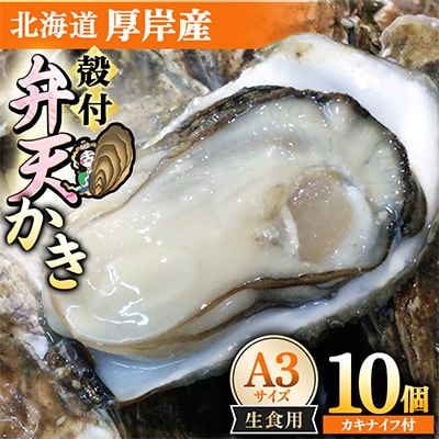 【生食用】北海道厚岸産　殻付弁天かきA3サイズ(約110g以上～140g未満)×10個　カキナイフ付