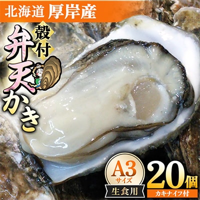 【生食用】北海道厚岸産　殻付弁天かきA3サイズ(約110g以上～140g未満)×20個　カキナイフ付