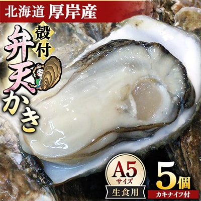 【生食用】北海道厚岸産　殻付弁天かきA5サイズ(約170g以上)×5個　カキナイフ付