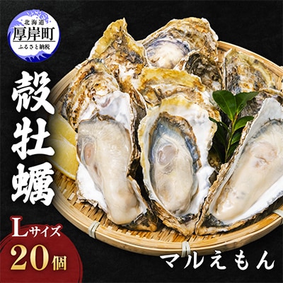 北海道厚岸産殻牡蠣『マルえもん』L-size 20個入り＜道の駅オリジナル牡蠣剥きナイフ付＞