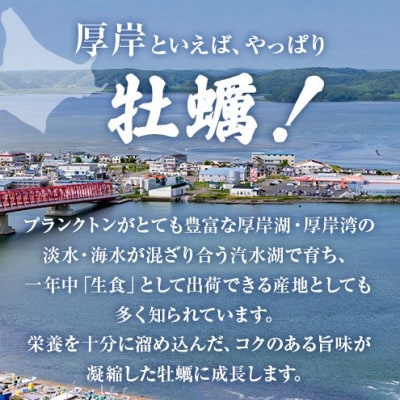 北海道厚岸産殻牡蠣『マルえもん』L-size 20個入り＜道の駅オリジナル牡蠣剥きナイフ付＞