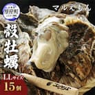 北海道厚岸産殻牡蠣『マルえもん』2L-size 15個入り＜道の駅オリジナル牡蠣剥きナイフ付＞